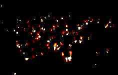 candle_light1.jpg