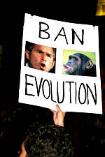 Ban_Evolution.jpg